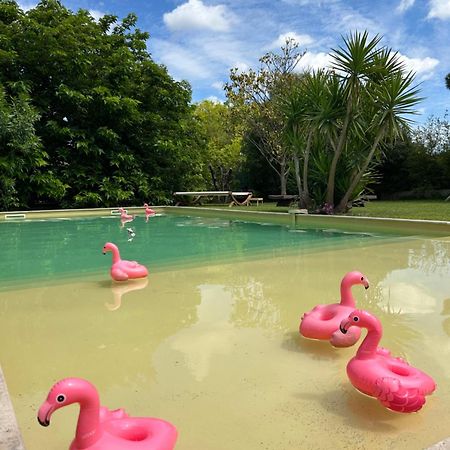 Le Patio, Chambres D Hotes Pour Adultes En Camargue, Possibilite De Naturisme A La Piscine, Aimargues Exterior foto