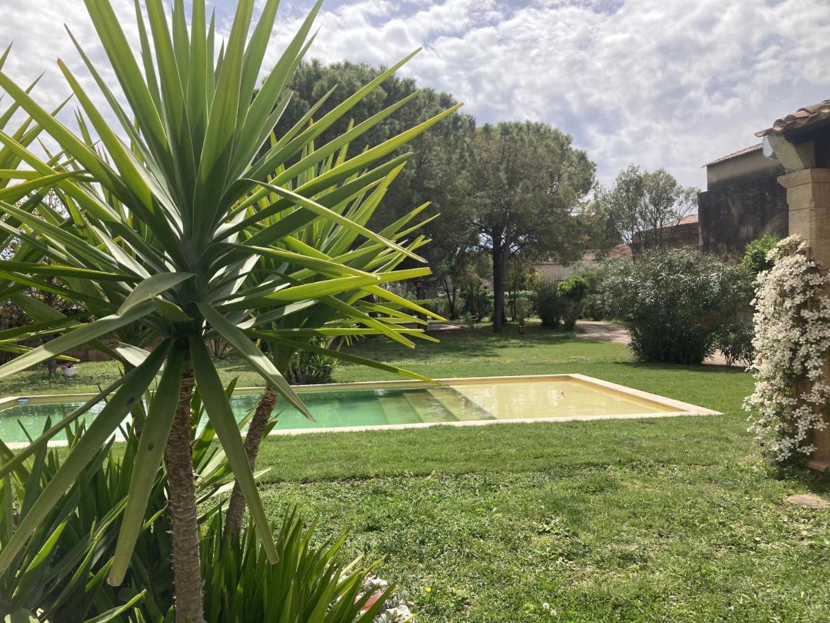 Le Patio, Chambres D Hotes Pour Adultes En Camargue, Possibilite De Naturisme A La Piscine, Aimargues Exterior foto