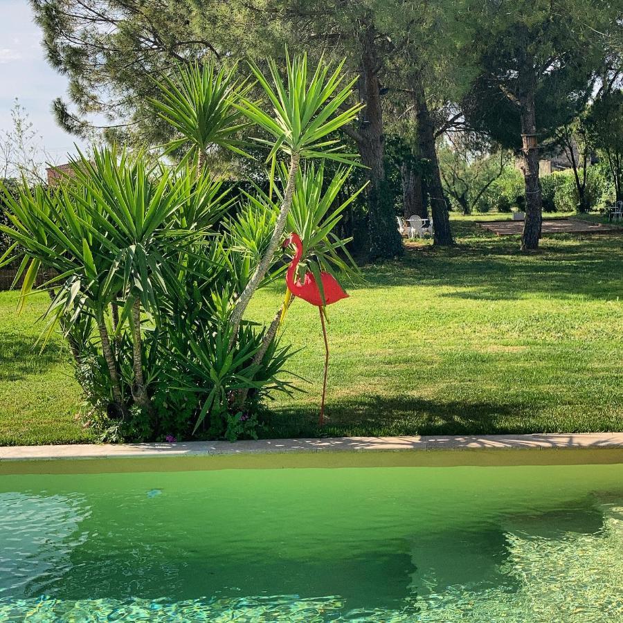 Le Patio, Chambres D Hotes Pour Adultes En Camargue, Possibilite De Naturisme A La Piscine, Aimargues Exterior foto