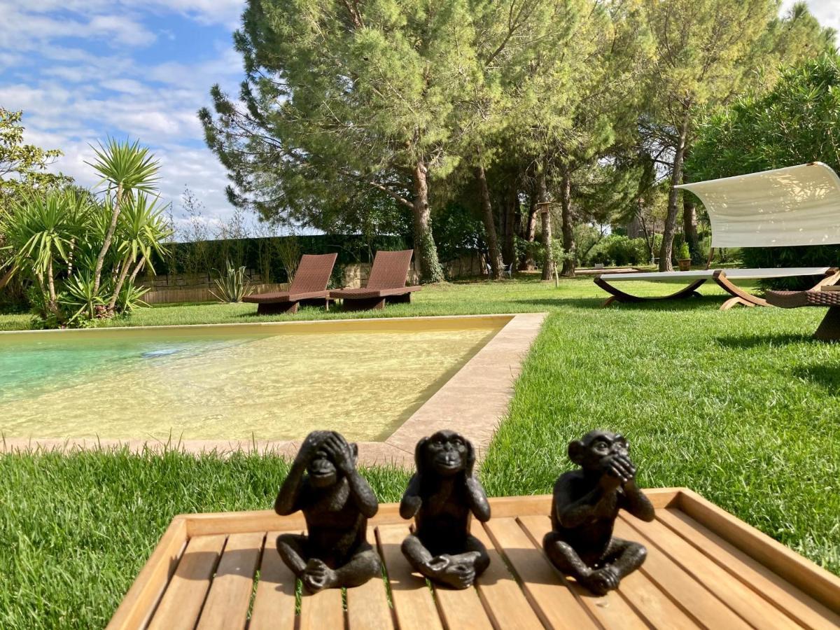 Le Patio, Chambres D Hotes Pour Adultes En Camargue, Possibilite De Naturisme A La Piscine, Aimargues Exterior foto