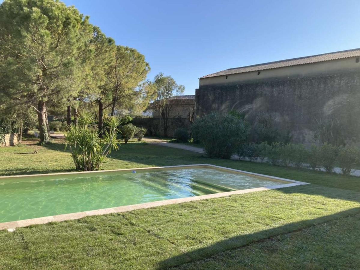 Le Patio, Chambres D Hotes Pour Adultes En Camargue, Possibilite De Naturisme A La Piscine, Aimargues Exterior foto