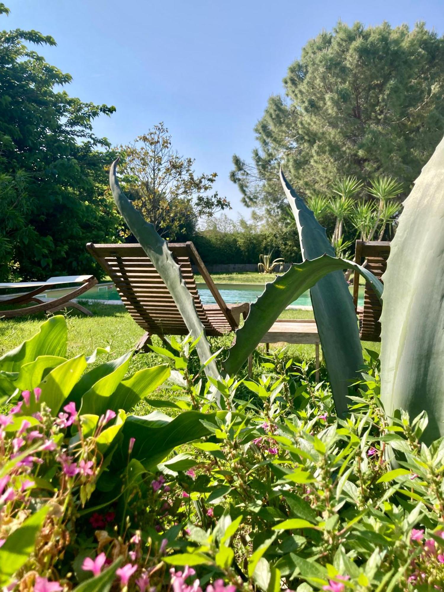 Le Patio, Chambres D Hotes Pour Adultes En Camargue, Possibilite De Naturisme A La Piscine, Aimargues Exterior foto