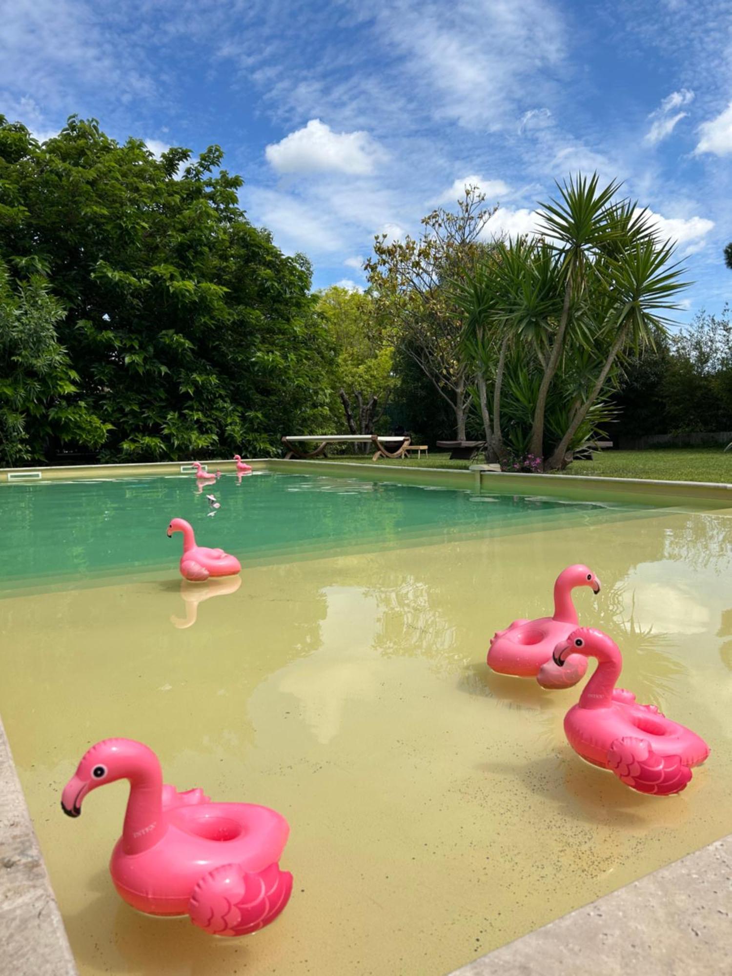 Le Patio, Chambres D Hotes Pour Adultes En Camargue, Possibilite De Naturisme A La Piscine, Aimargues Exterior foto